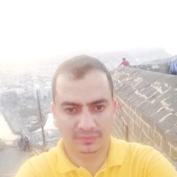 Adel Alnemri