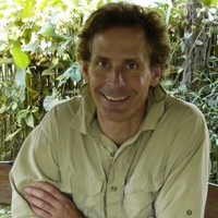 Andrew McLaughlin