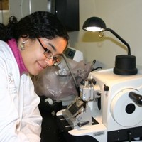 Lina Almeida