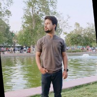Samar Safdar Malik