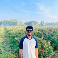 Nilay Suthar