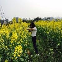 曾晓莉