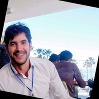 Anis Mansour