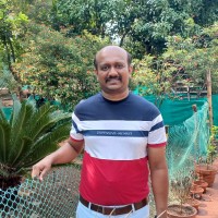 Vinay N