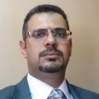 Mohamed Hussein, Pmp, Prmg, B.Sc.