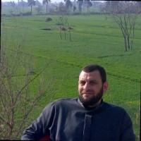 Hamed Ragab