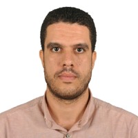 Osama Elsabaa