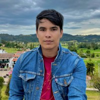 Diego Fernando Avila Pava