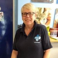 Anne Pringle Davies