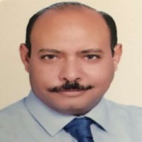 Mohamed Nasr Hassan