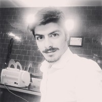 Behrad A. Mokari