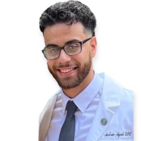 Andrew Ayoub