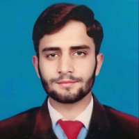 Mushahid Hussain Awan