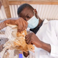 Avitus vital Gbaguidi