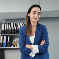 Elif Sezgin Mengeneci