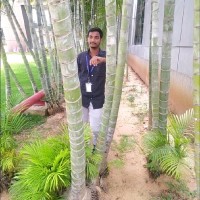 NaveenKumar V