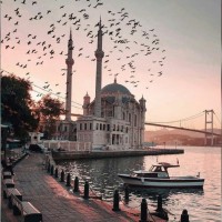 rifat R