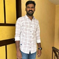 Panneerselvam M