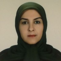 Mahdieh Karami