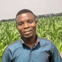 VINCENT FREBODI WORNYO