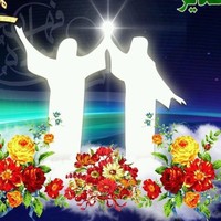 Shah G