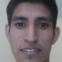 Julio Cesar Loayza Lizarraga