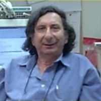 Pini Shavit