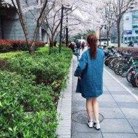 郝紫杉