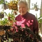 Denise Conklin