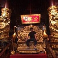 陈丽凤