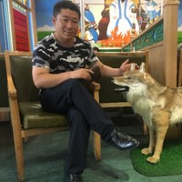 王小宝