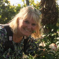 Helene Söderberg