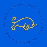 VIP CAPITAL