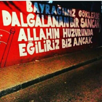 Tolgahan Hardalaç