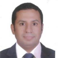 Aly A. Mohamed