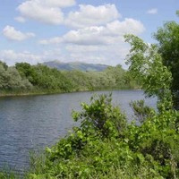 Tule Ponds at Tyson Lagoon