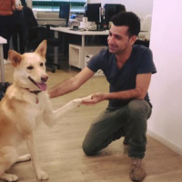 Daniel Dvir