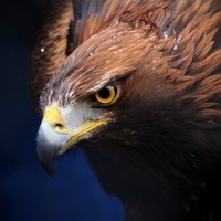 Павел М