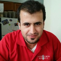 Alaa Elmetni
