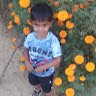 Harry Dharmik