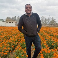 Hesham Eltaib
