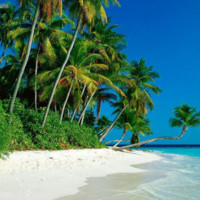 Balakishore Reddy pappu