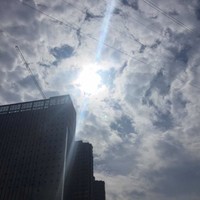 石会员