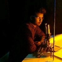 Reddappa Reddy Manyam