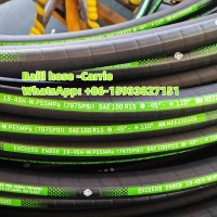 BAILI HOSE CO.,LTD CARRIE