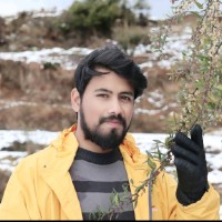 Akhil Singh