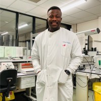 Adedeji David Oyekanmi