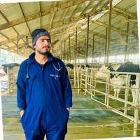 Dr Murtaza
