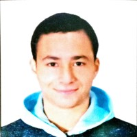 Omar Mohamed Salah El-Dein