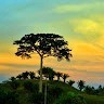 Ociclei Mamede